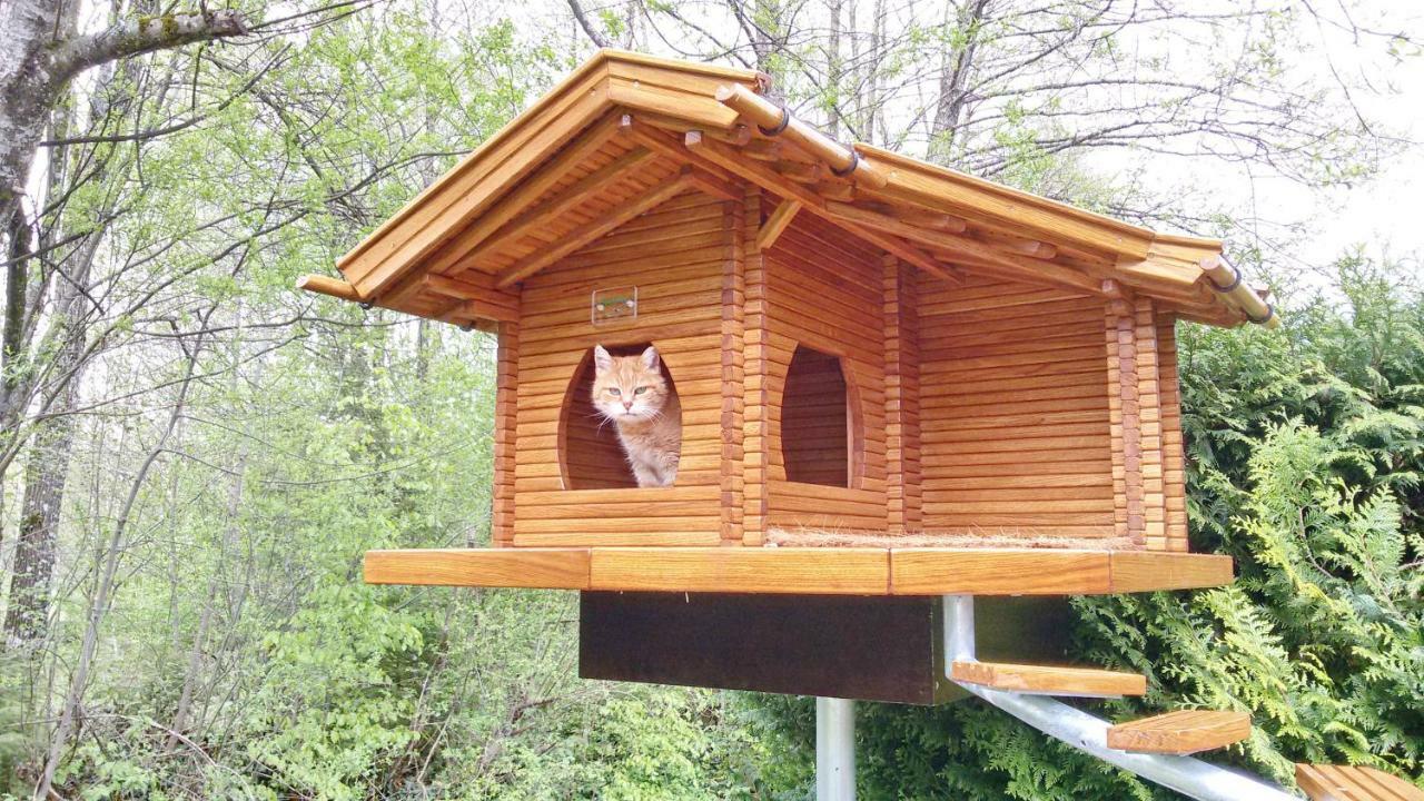 Ferienwohnung Wagner Isny im Allgäu Exterior foto